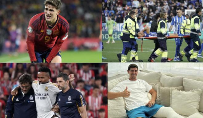 贡献了20 贡献了20